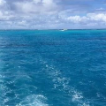没脾气