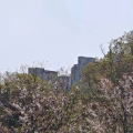 美股走熊,螺旋下跌来了