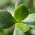 10月,拜拜了您嘞